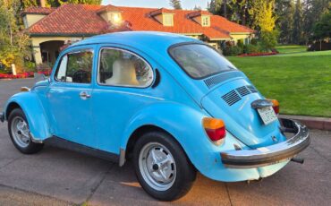 Volkswagen-beetle-1975-blue