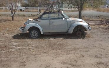 Volkswagen-beetle-1979-1