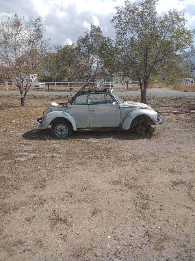 Volkswagen-beetle-1979-1