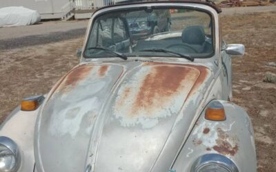 Volkswagen beetle 1979