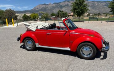 Volkswagen-beetle-1979-red-6