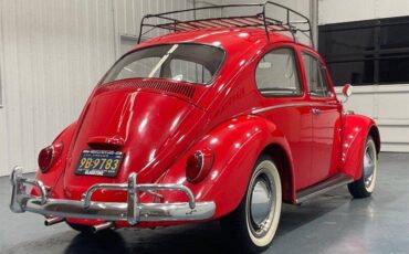 Volkswagen-beetle-classic-2dr-1965-red-5