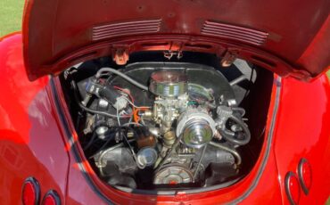 Volkswagen-beetle-convertible-1971-custom