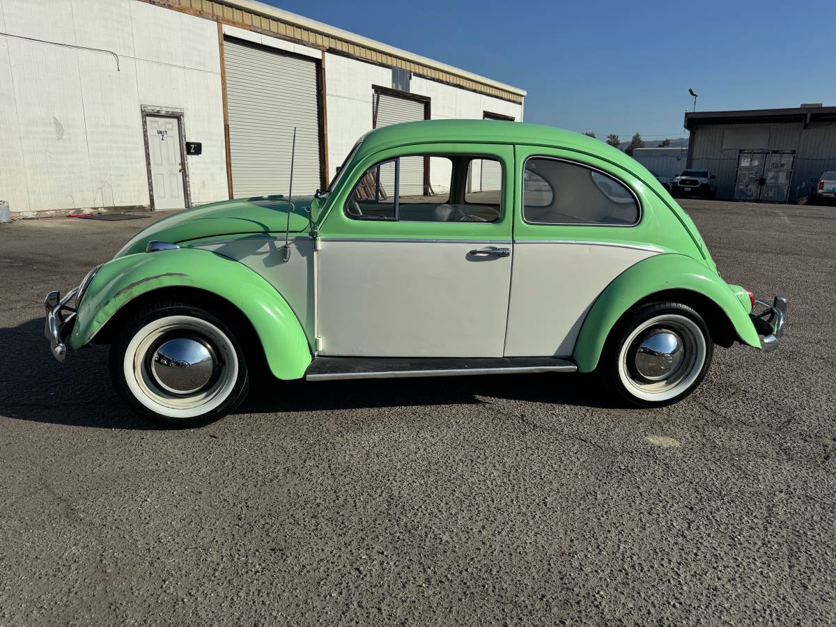 Volkswagen-bug-1964-green-1