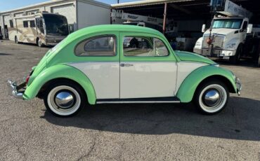 Volkswagen-bug-1964-green-15