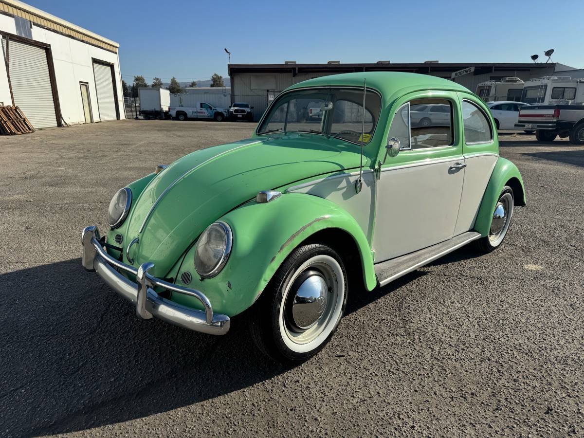 Volkswagen-bug-1964-green-16