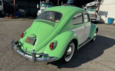 Volkswagen-bug-1964-green-19