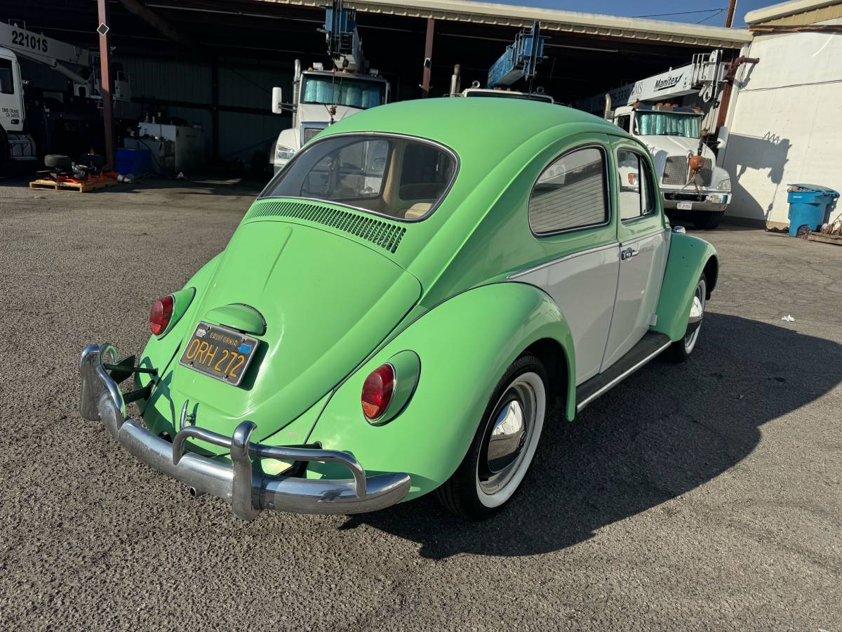 Volkswagen-bug-1964-green-19