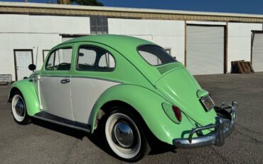 Volkswagen-bug-1964-green-2