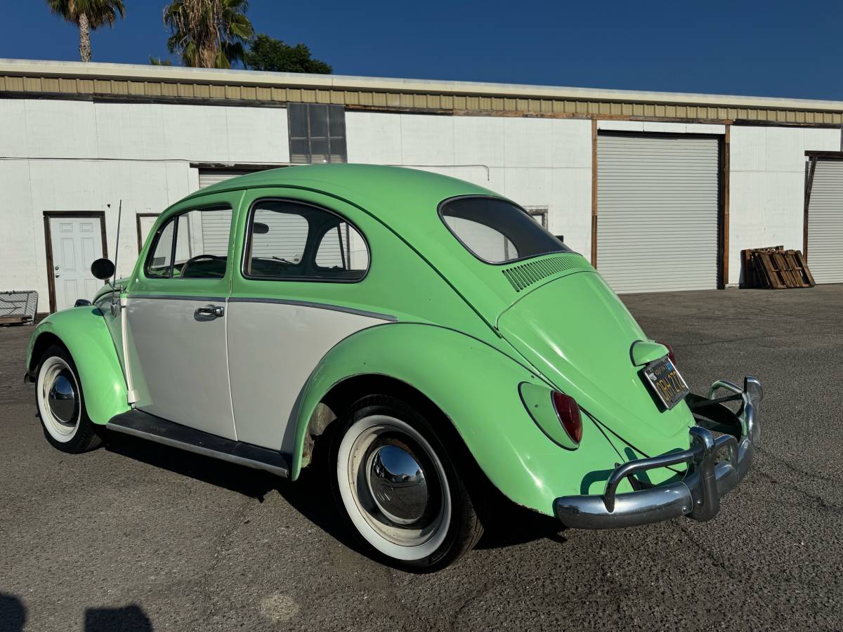 Volkswagen-bug-1964-green-2