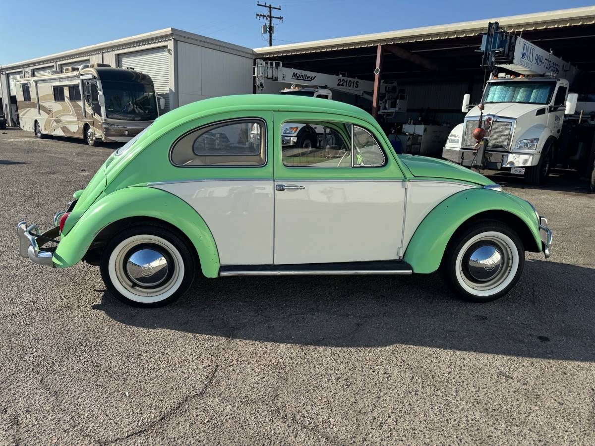 Volkswagen-bug-1964-green-20