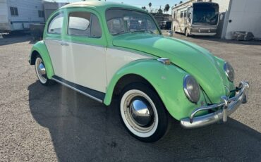 Volkswagen-bug-1964-green-21