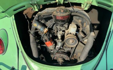 Volkswagen-bug-1964-green-25