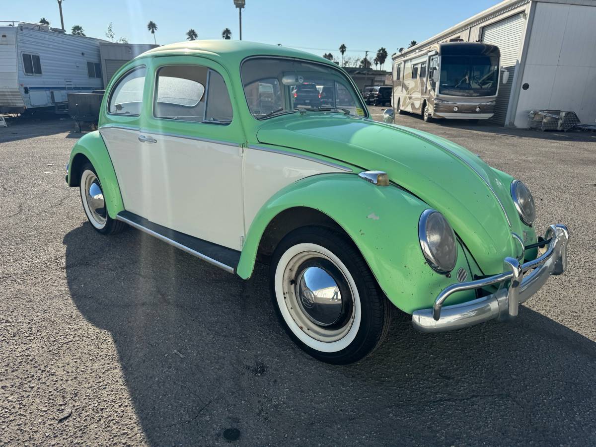 Volkswagen-bug-1964-green-4