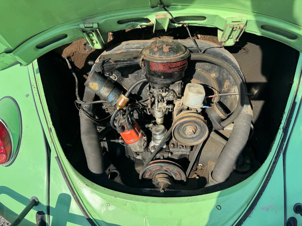 Volkswagen-bug-1964-green-8
