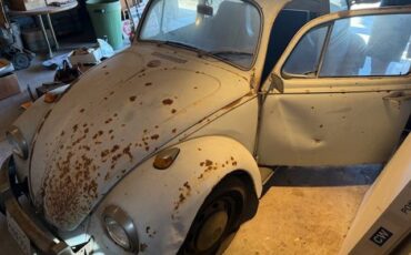 Volkswagen-bug-1969-2