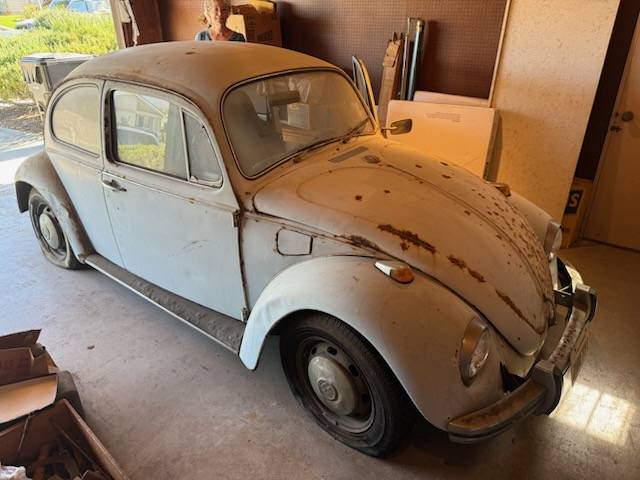 Volkswagen-bug-1969-6
