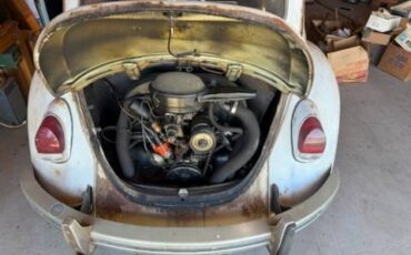 Volkswagen-bug-1969-7