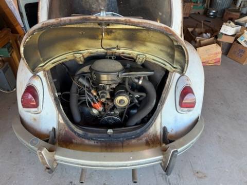 Volkswagen-bug-1969-7