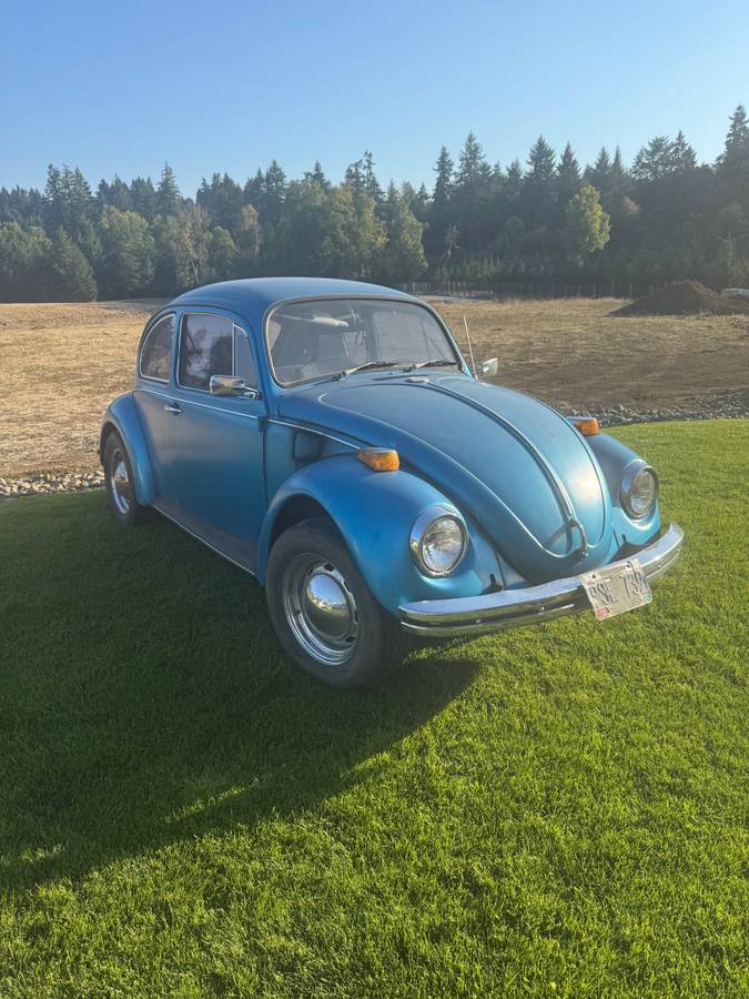 Volkswagen-bug-1970-1