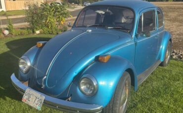 Volkswagen-bug-1970