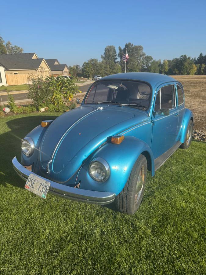 Volkswagen-bug-1970