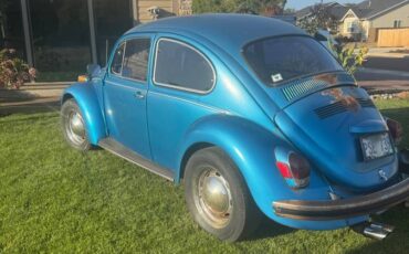 Volkswagen-bug-1970-3