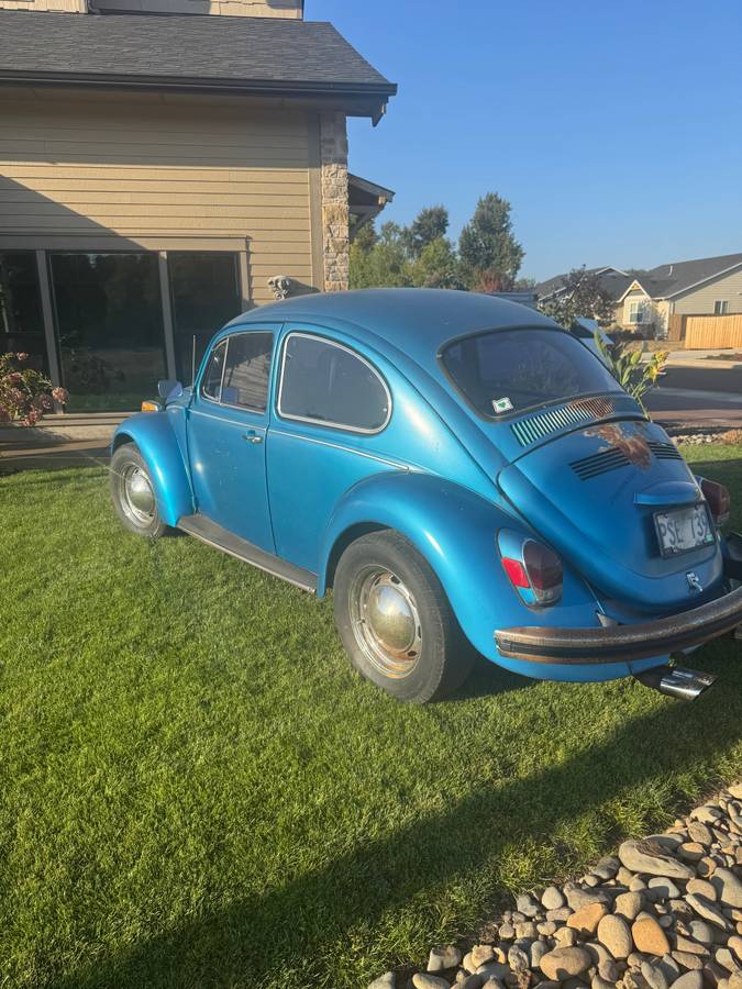 Volkswagen-bug-1970-3