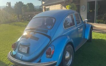 Volkswagen-bug-1970-5