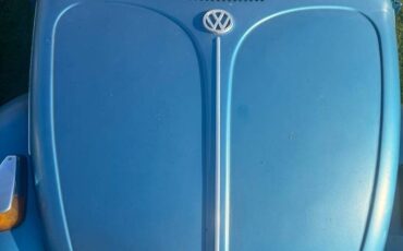 Volkswagen-bug-1970-6
