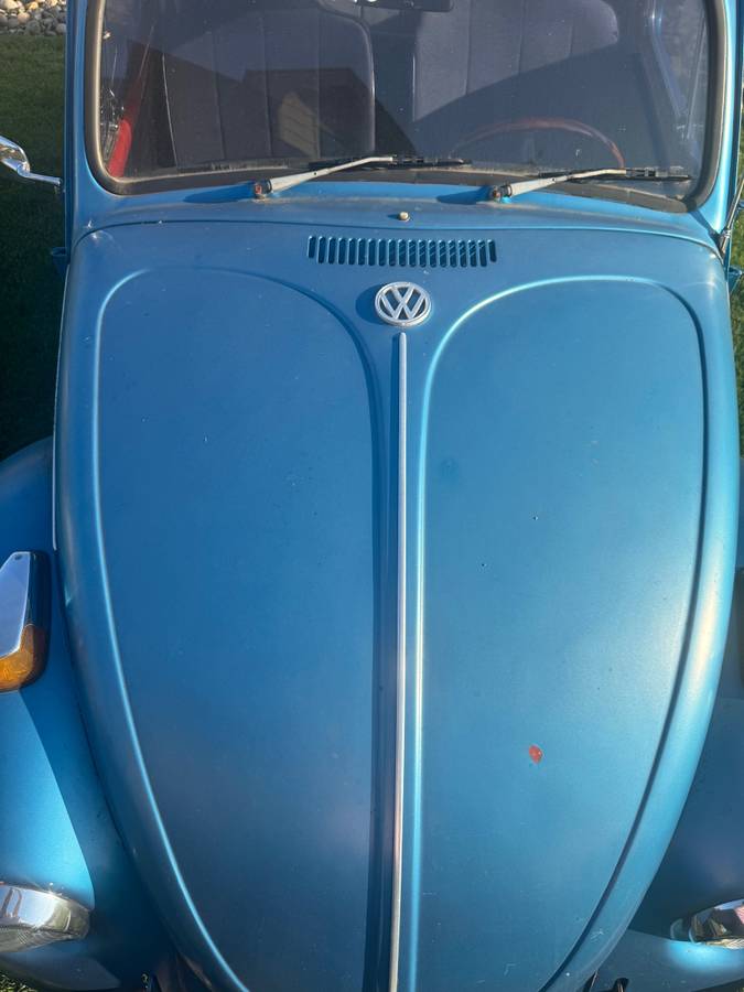Volkswagen-bug-1970-6