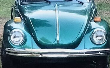 Volkswagen-bug-1973-green-1