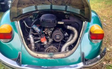 Volkswagen-bug-1973-green-10