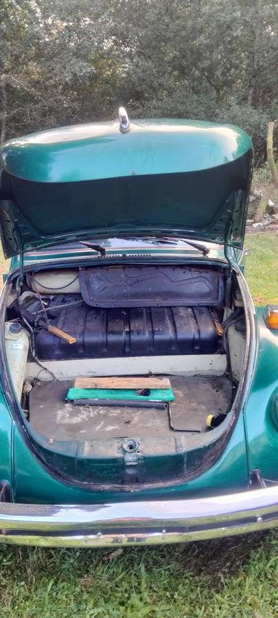Volkswagen-bug-1973-green-11