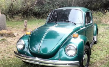 Volkswagen-bug-1973-green-3