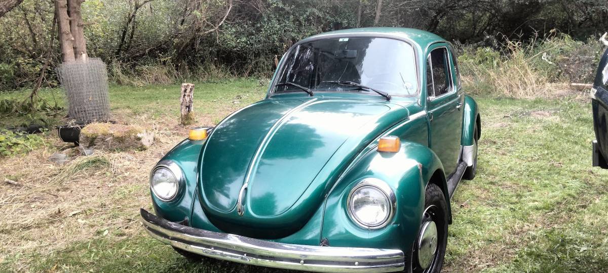 Volkswagen-bug-1973-green-3