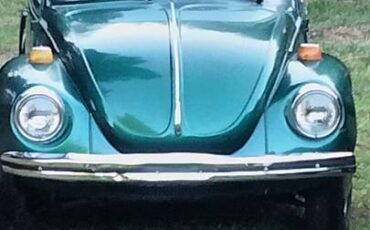 Volkswagen-bug-1973-green