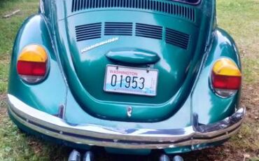 Volkswagen-bug-1973-green-5