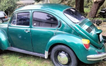 Volkswagen-bug-1973-green-6