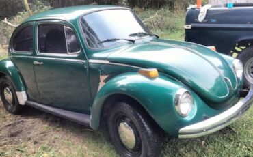 Volkswagen-bug-1973-green-7