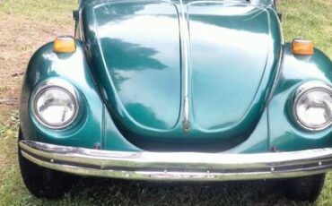 Volkswagen-bug-1973-green-8