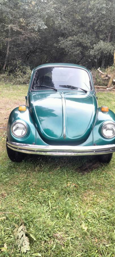 Volkswagen-bug-1973-green-8