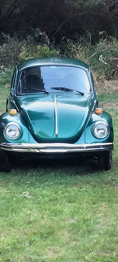 Volkswagen-bug-1973-green