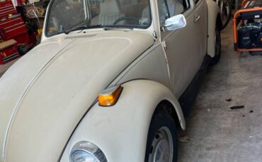 Volkswagen-bug-1974-brown-1