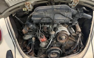 Volkswagen-bug-1974-brown-12
