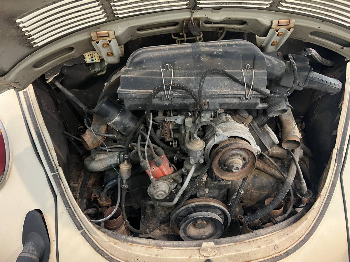 Volkswagen-bug-1974-brown-12