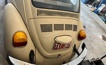 Volkswagen-bug-1974-brown-2