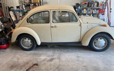 Volkswagen-bug-1974-brown-3