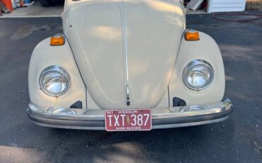 Volkswagen-bug-1974-brown-4