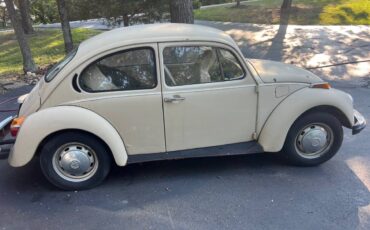 Volkswagen-bug-1974-brown-5